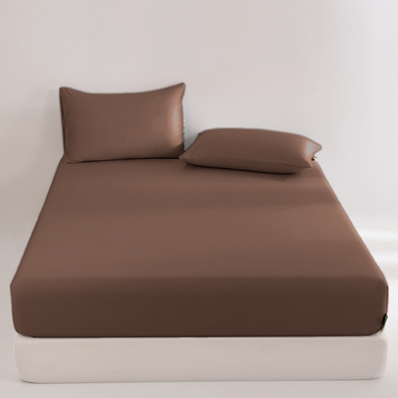 Fitted Bed Sheets Deep Pocket - Drap-housse 100% Lyocell d'eucalyptus soyeux et
