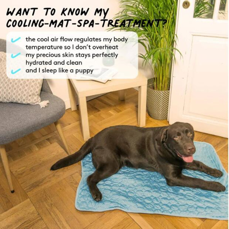 Le tapis rafraîchissant ultime - Cooling Blanket Hot Sleepers avis et prix