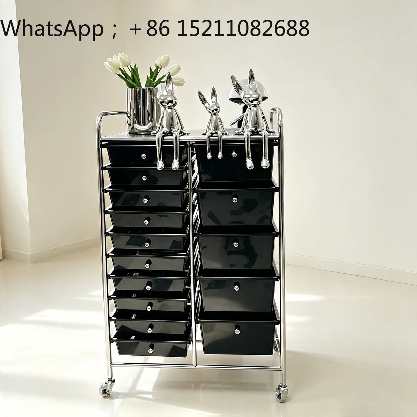 Armoire de rangement mobile SC - Storage & Organization avis et prix